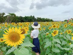 -光明小镇欢乐田园