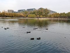 -中国农业博物馆