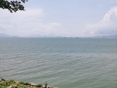 -七鲜渔港美食餐厅(巽寮湾海景店)