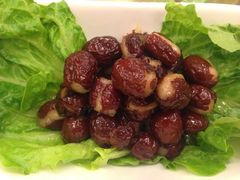 -鸿恩陶然大观园