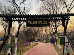 -西安汉城湖景区