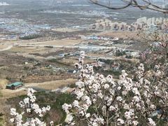 -北京鹫峰国家森林公园