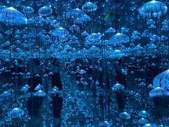 -杭州西湖星空魔幻城(星空艺术馆品牌旗舰店)