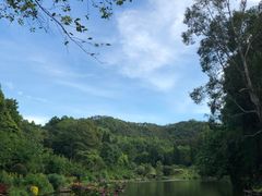 -深圳仙湖植物园