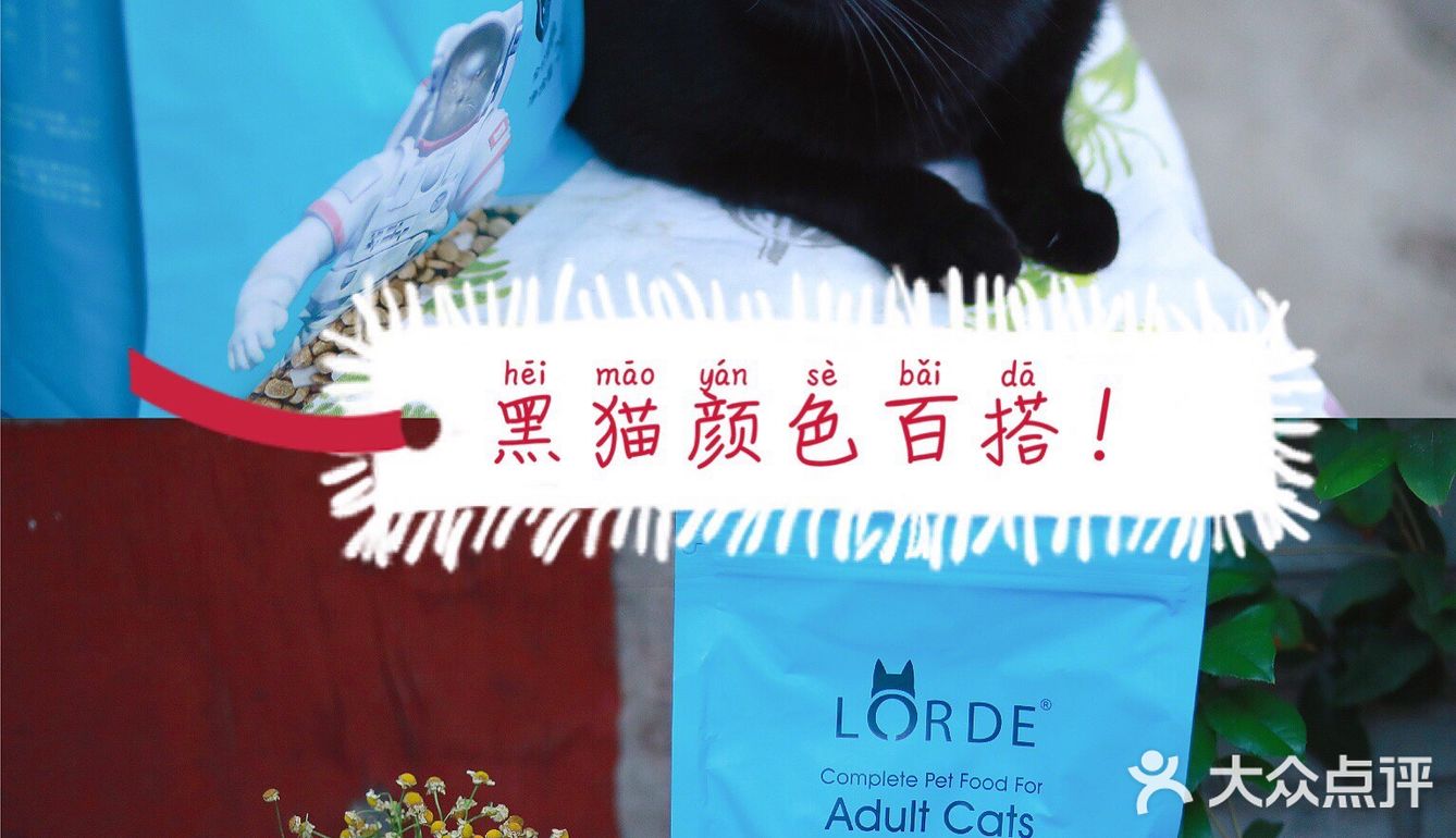 🐈养宠科普 | 国产网红猫粮评测报告！