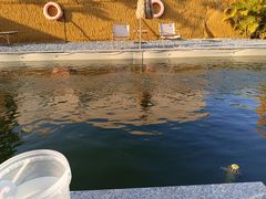 -DGE季风钓虾营地·团建·聚会