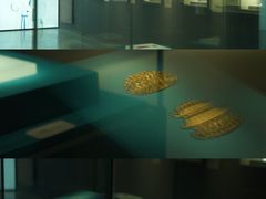 -六朝博物馆