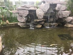 -汤山翠谷生态餐厅