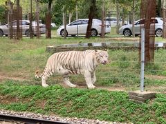 -秦皇岛野生动物园