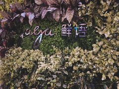 -gaga(深圳南山益田假日广场店)