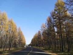 -塞罕坝国家级自然保护区