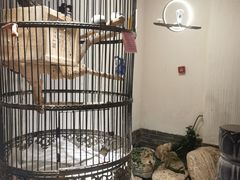 -清真京华源·涮肉烧烤(丰庆店)