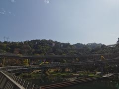 -福道