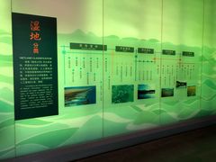 -中国湿地博物馆