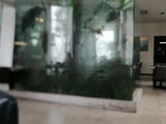 -IL Forno 意坊·意大利餐厅(花园店)