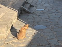 -鸡鸣山旅游风景区