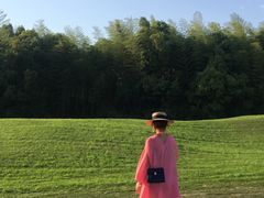 -天目湖涵田半山温泉