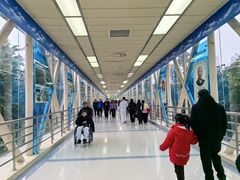 -重庆西南医院(西南院区)