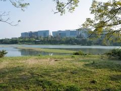 -华侨城湿地公园
