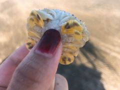-嵊泗基湖沙滩