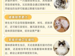 -翊宠yipet猫狗购宠庄园犬舍•猫舍