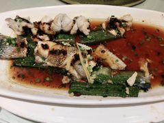 古法蒸石斑鱼-金时代顺风大酒店(金山店)