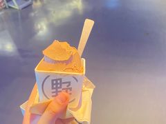 -野人牧坊Gelato(天津南开大悦城店)
