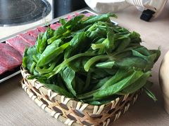 豌豆苗-大理老字号·舟渔的鱼野生菌海景餐厅(双廊店)