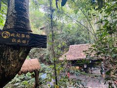 -西双版纳基诺山寨