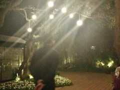 android_upload_pic-T館·花园艺术餐厅