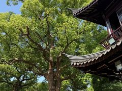 -无锡惠山寺