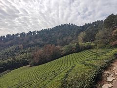 -敬亭山风景名胜区