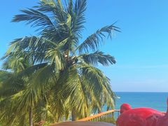 -日落吧·海景咖啡厅·餐酒吧·鸡尾酒·下午茶·乐队表演·浪漫夕阳·三亚文华东方酒店