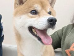 -安安宠医宠物医院·异宠·犬猫内科(岳阳分院)