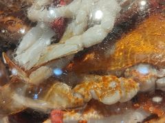 -半岛听涛蒸汽海鲜自助(K11店)
