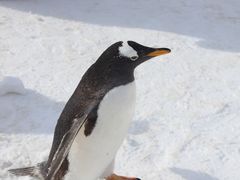 -大连老虎滩海洋公园