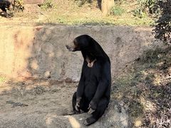 -杭州野生动物世界
