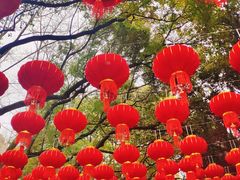 -狼山风景名胜区