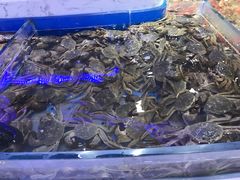 -澜悦港海鲜体验主题餐厅