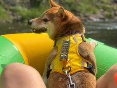 -安吉龙王山峡谷漂流