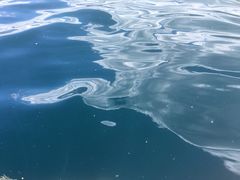 -泸沽湖里格半岛