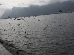 -呈贡滇池生态湿地公园