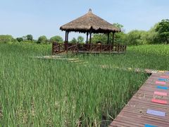 -梁鸿国家湿地公园