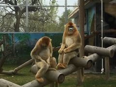 -西安秦岭野生动物园