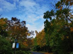 -茅山东方盐湖城景区