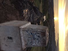 iphone_upload_pic-亚瑟王座
