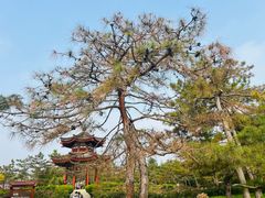-大慈恩寺(大雁塔)
