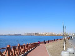 -丁香湖公园