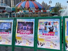 -海合安武汉极地海洋公园