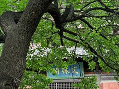 -善化寺